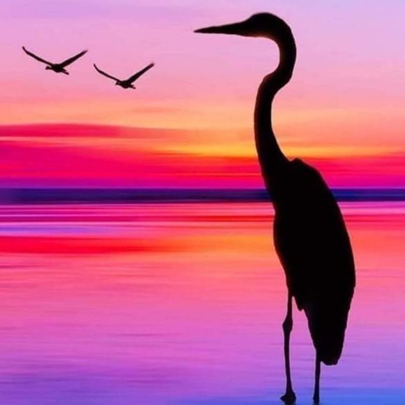 Women's Apparel, Athletic and Designer - Picture 1 of 1